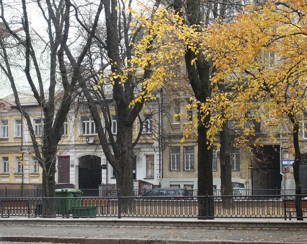 Kiev Ucraina Novembre 2020 Giorno Autunno Bulvarno Kudryavskaya Street Kiev — Foto Stock