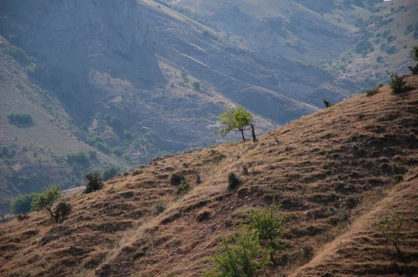 Mountain relief in Crimea in summer — Stock Photo, Image