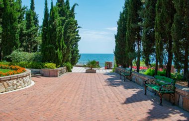 Sıcak bir yaz gününde deniz kenarına park et.