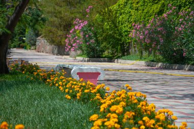 Parkın köşesinde çiçek açan bitkiler var.