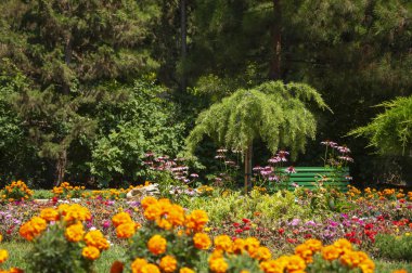 Deniz kenarındaki parkta çiçek tarhı