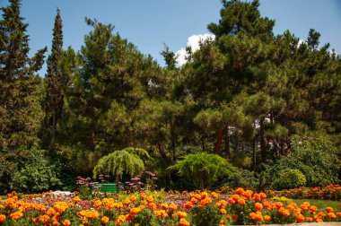 Sıcak bir yaz gününde, parkın köşesinde, parlak bir çiçek tarhında.