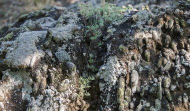 Doğal taş dokusu, arkaplan