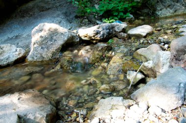Güneşli bir yaz gününde Dağ Kaynağı sallanır