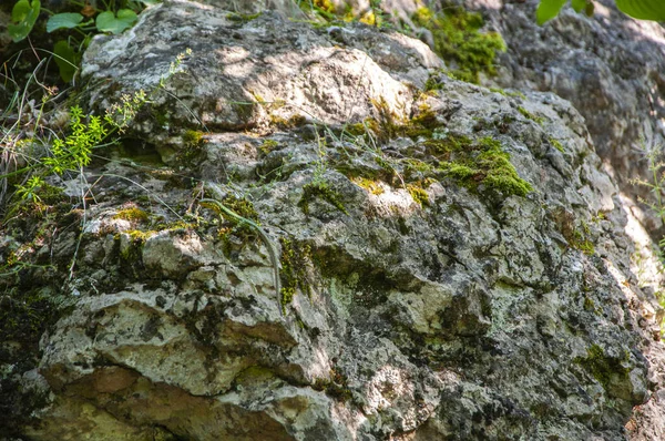 Textura Roca Día Soleado Verano —  Fotos de Stock