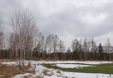 Kenardaki ormanda eriyen son kar.