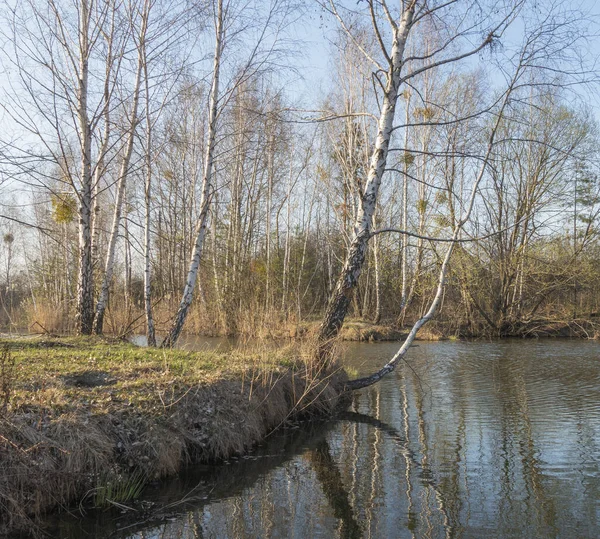 Paysage Avec Lac Par Une Journée Ensoleillée Printemps — Photo