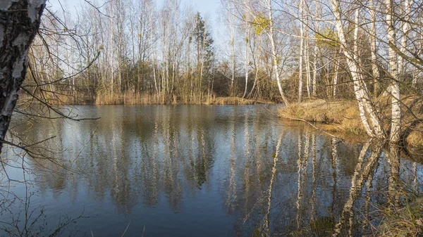 Venkovská Krajina Jezerem Jaře Slunečný Den — Stock fotografie