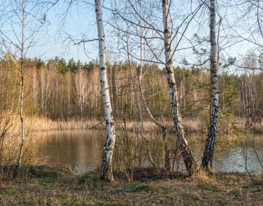 Güneşli bir bahar gününde, gölü olan bir manzara.