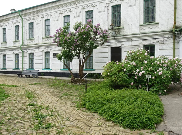 Vieille Cour Kiev Pechersk Lavra Avec Des Buissons Fleurissant Printemps — Photo