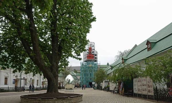Blick auf einen 200 Jahre alten Kastanienbaum im Kiewer-Petschersk-Lavra — Stockfoto