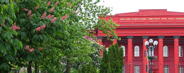 Цветущие красные каштаны на фоне Киевского университета им. Шевченко весной