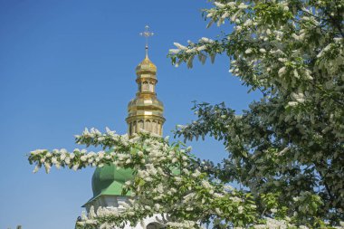Güneşli bir bahar gününde, bir Ortodoks kilisesinin altın kubbesinin arka planında beyaz çiçekli bir kuş kirazı dalları.
