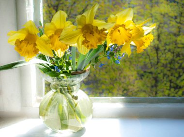 Yeşil ağaçların arka planına karşı açık bir pencerenin yanında sarı nergis buketi.