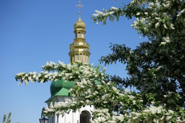 Çan kulesinin arka planında kuş kiraz dalları