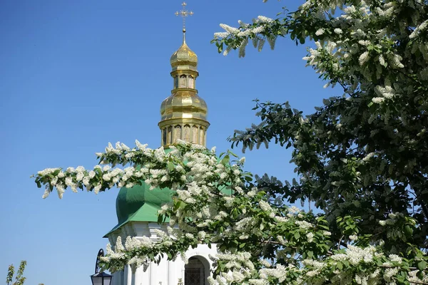 Çan kulesinin arka planında kuş kiraz dalları