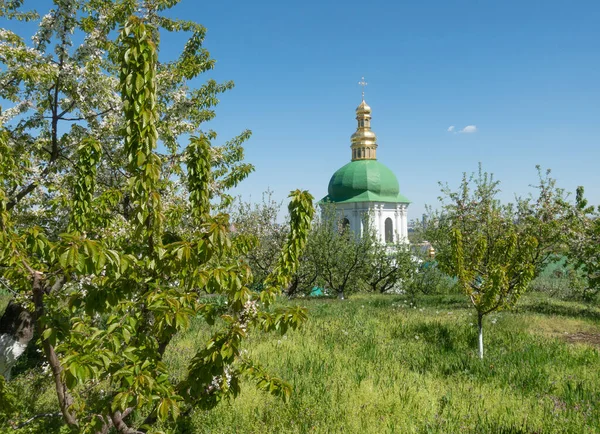 Pomar Kiev Pechersk Lavra Dia Primavera — Fotografia de Stock