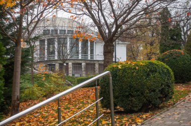 Sonbaharda Kyiv Fomin Botanik Bahçesi, metro binasının manzarası