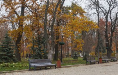 Sonbaharda Kyiv 'deki eski Shevchenko Parkı' nda