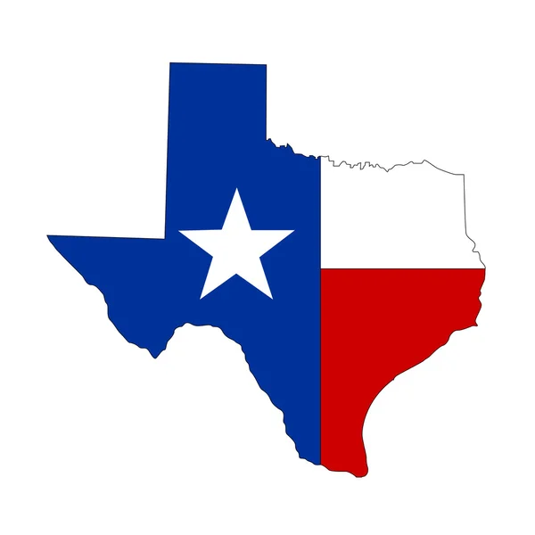 Textura Texas State Icon — Vector de stock