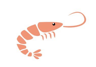 Beyaz üzerine karides vektör illüstrasyonu