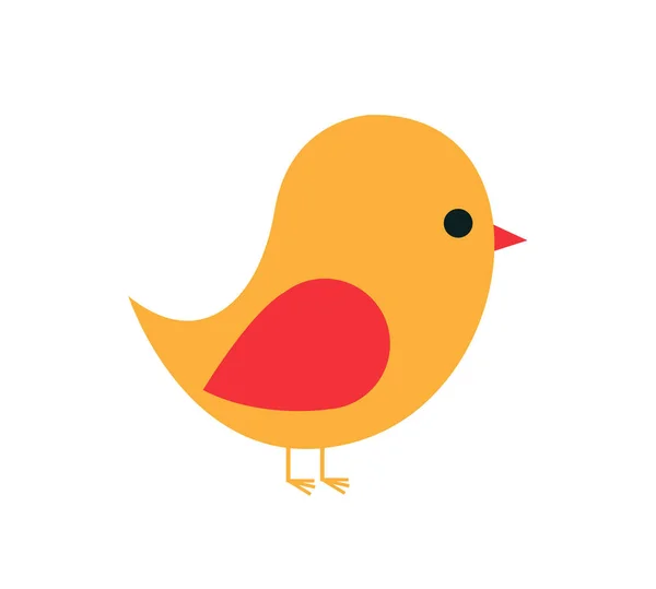 Colored Bird Vector Illustration — Stock Vector