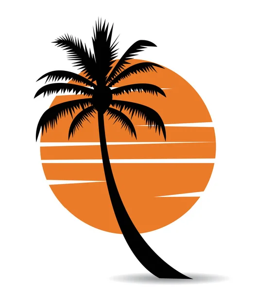 Palm Tree Image Sun — Stock Vector