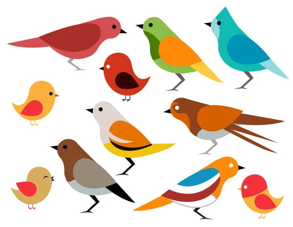 Set of different birds — Stock Vector