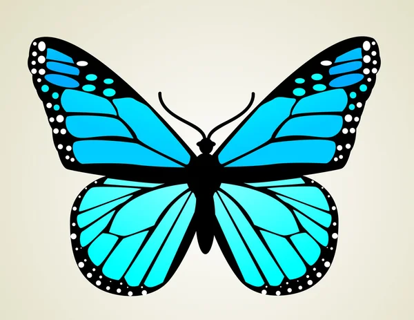 Farfalla. Illustrazione vettoriale — Vettoriale Stock