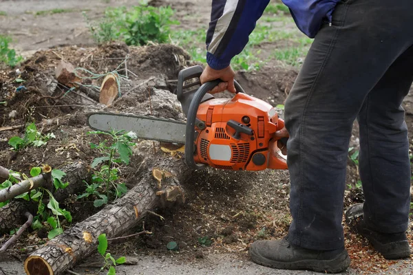 Trabajador Jardinero Usa Una Motosierra Para Cortar Árboles Leña Pequeña —  Fotos de Stock