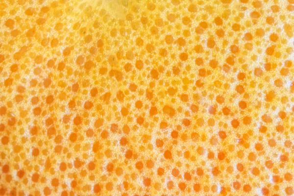 Poreuze Huid Van Een Verse Grapefruit Unieke Macro Imitatie Van — Stockfoto