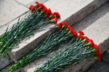 Anıtın eski granit basamaklarında kırmızı karanfil buketleri var. Hafıza ve vatanseverlik. Yakın plan. Gün ışığı