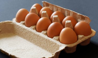 Üzerinde on tavuk yumurtası olan açık bir karton kutu gri bir arka planda yatıyor. Yakın plan. Çapraz