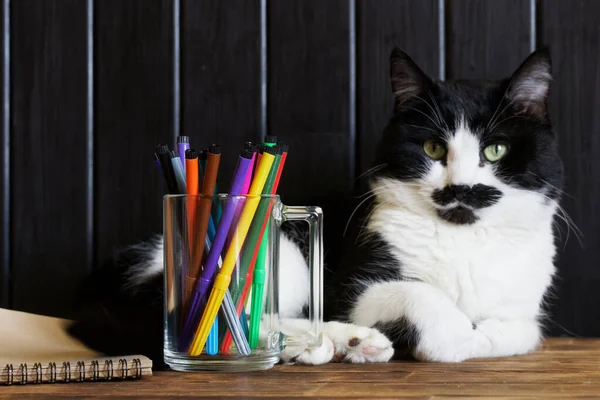 マーカー付きの透明マグカップと環境に優しい紙で作られたノートはかわいい猫に守られています 創造的な活動の概念と描画するために子供を教える — ストック写真