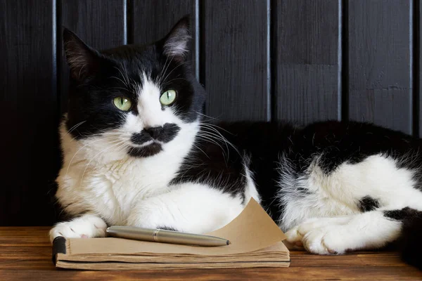 A cute cat lies next to a notebook and a pen. The concept of the cat's memoir and the writer's work. Close-up. Daylight