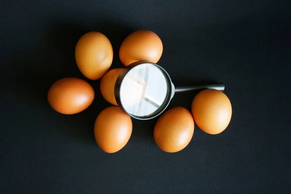 Μεγέθυνση Γυαλί Και Επτά Καφέ Αυγά Κοτόπουλου Σκούρο Φόντο Έννοια — Φωτογραφία Αρχείου