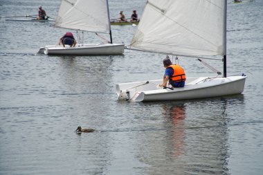 Küçük yatlarda tatilciler, Ural Nehri 'nde yelkenli botlar ve kanolar, oradan geçen bir ördeğin yanında. Geri kalan herkes izinli. 10 Temmuz 2021, Rusya, Magnitogorsk. İnsanlar ve doğa
