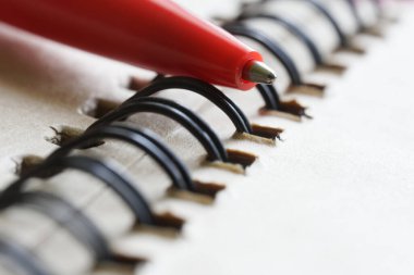 Öğretmenin öğrenci notlandırması için kullandığı kırmızı tükenmez kalem, bahara bağlı açık bir not defterinde yatıyor. Okul, üniversite ya da üniversite öğrenme konsepti. Seçici odaklanma. Yakın plan.