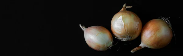 Fresh Onions Bought Grocery Store Making Dinner Lie Black Surface — Fotografia de Stock