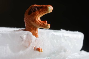 Buzdağına ya da buzdağına donmuş oyuncak bir dinozor. İklim değişikliğinden dolayı dinozorların ve kertenkelelerin neslinin tükenmesi, buz çağının başlangıcı ve hipotermi nedeniyle ölüm kavramı. Yakın plan.