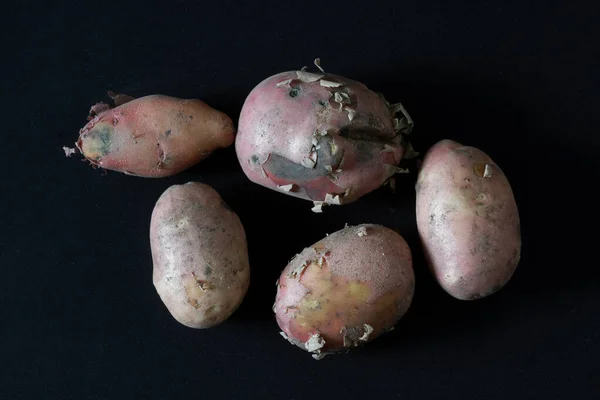 Five unpeeled, freshly dug potatoes against a dark background. Minimalism. Close-up