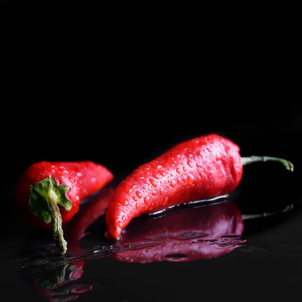 Två Röda Chilipaprika Täckt Med Daggdroppar Svart Våt Bakgrund Begreppet — Stockfoto