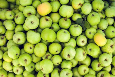 Yeşil elma çiğ meyve arkaplanı, doğal sağlıklı organik ürün.