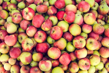 Yeşil elma çiğ meyve arkaplanı, doğal sağlıklı organik ürün.