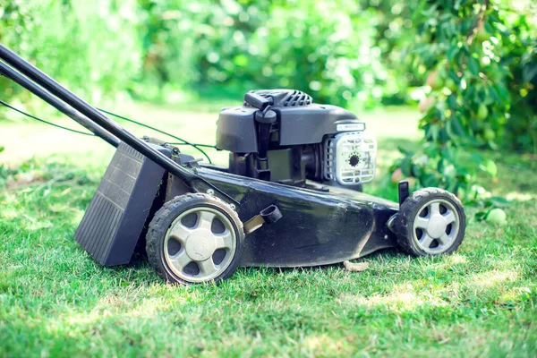 Lawn Mower Cutting Green Grass Backyard Gardening Background — Stock Photo, Image