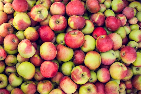 Sfondi Frutta Cruda Mela Verde Prodotto Fresco Biologico Sano Naturale — Foto Stock