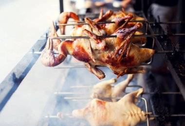 Tükürük şişinde ızgara ördek. Geleneksel barbeküde kızartılmış. Kızarmış Ram ördeği pişirilmiş eti.