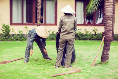 Vietnam 'da bahçe çimlerini temizleyen işçiler