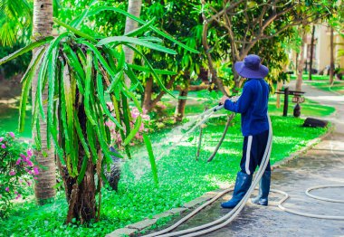 Adam bahçedeki çimlere su döktü.