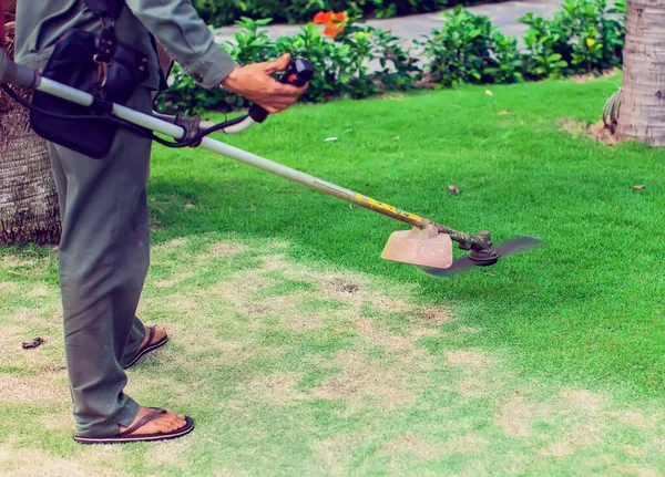 Klipper Gräs Trädgården Med Trimmern Vietnam — Stockfoto